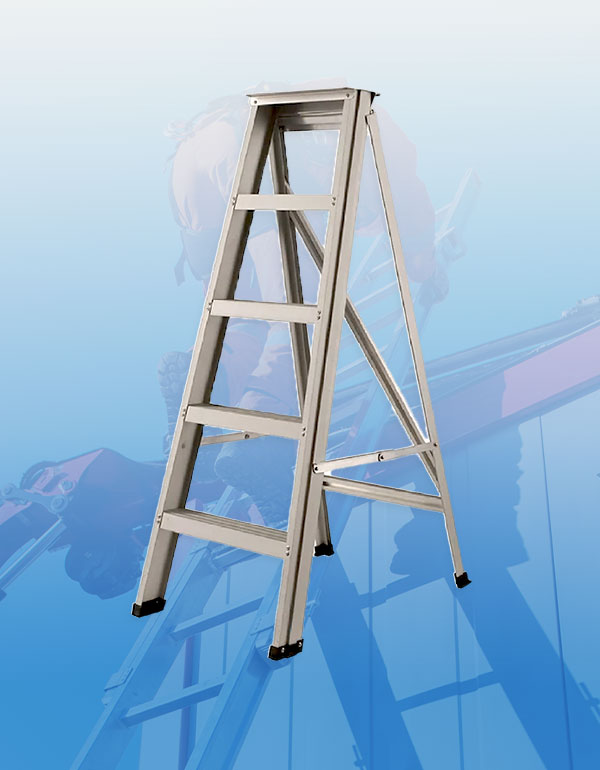 Ladder